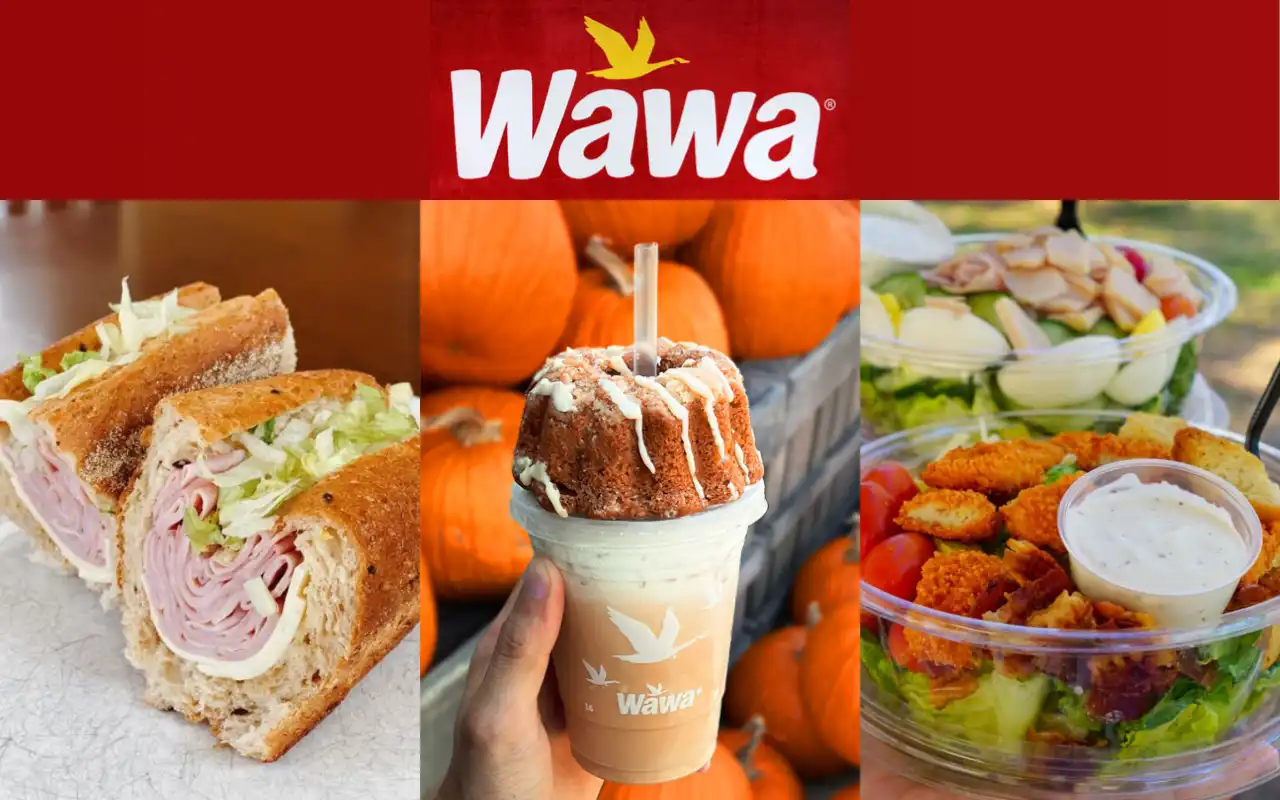 wawa lunch menu